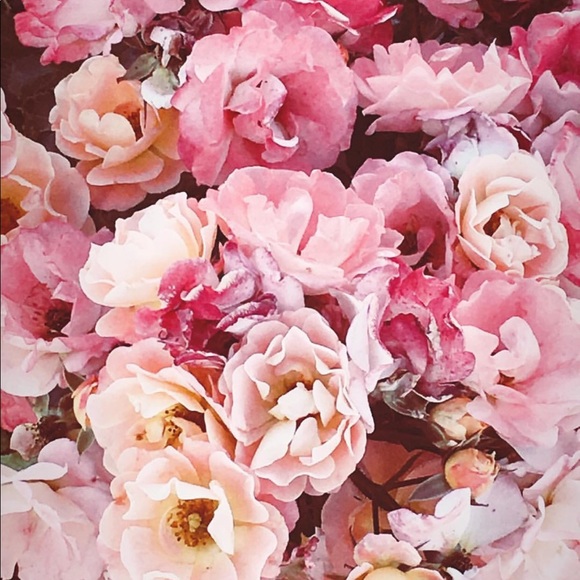 {Meet your seller!} - Picture 4 of 4